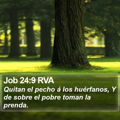 Job 24:9 RVA Bible Verse Image