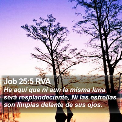 Job 25:5 RVA Bible Verse Image