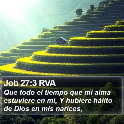 Job 27:3 RVA Bible Verse Image