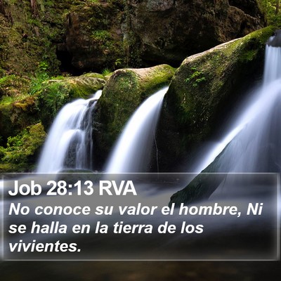 Job 28:13 RVA Bible Verse Image