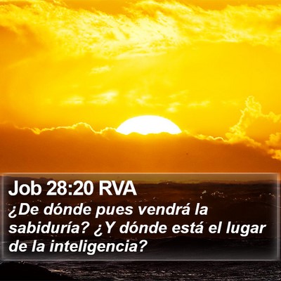 Job 28:20 RVA Bible Verse Image