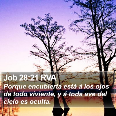 Job 28:21 RVA Bible Verse Image