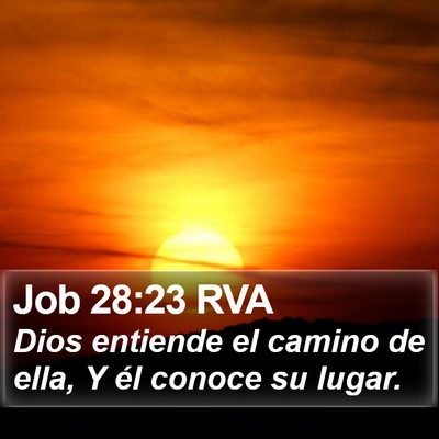 Job 28:23 RVA Bible Verse Image