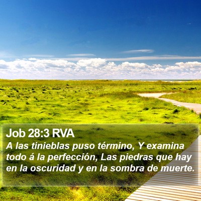 Job 28:3 RVA Bible Verse Image