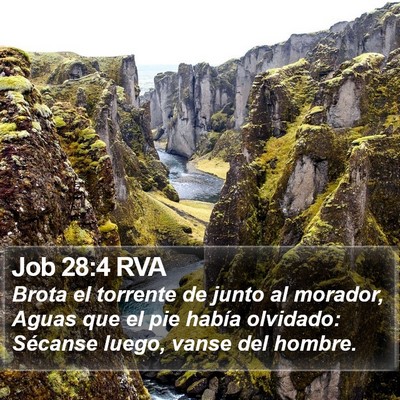 Job 28:4 RVA Bible Verse Image