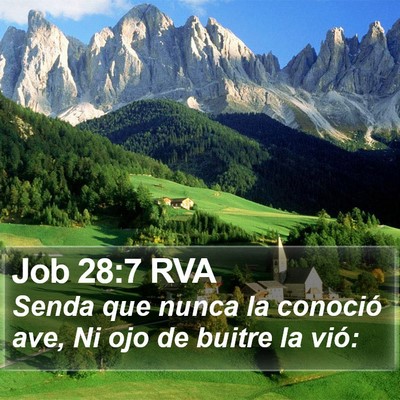 Job 28:7 RVA Bible Verse Image