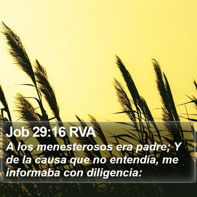 Job 29:16 RVA Bible Verse Image