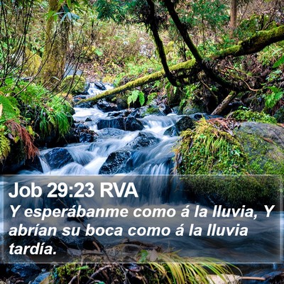 Job 29:23 RVA Bible Verse Image