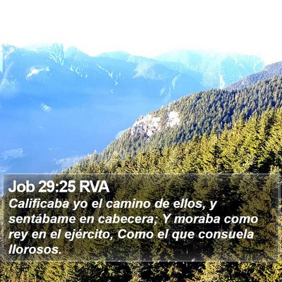 Job 29:25 RVA Bible Verse Image