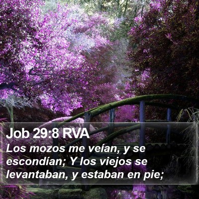 Job 29:8 RVA Bible Verse Image