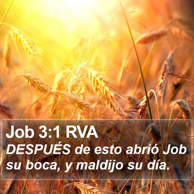 Job 3:1 RVA Bible Verse Image