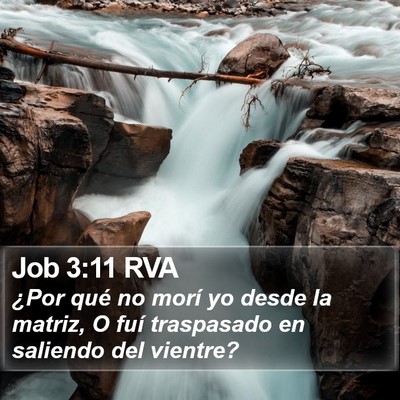 Job 3:11 RVA Bible Verse Image
