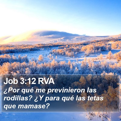 Job 3:12 RVA Bible Verse Image