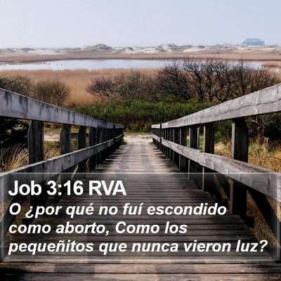 Job 3:16 RVA Bible Verse Image