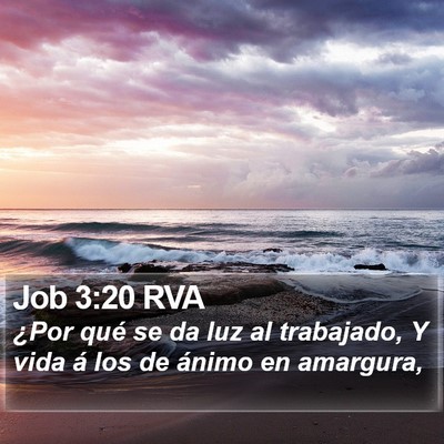 Job 3:20 RVA Bible Verse Image