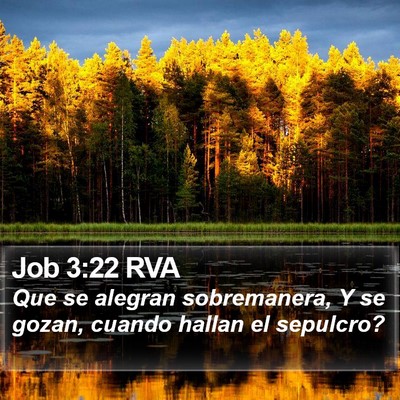 Job 3:22 RVA Bible Verse Image