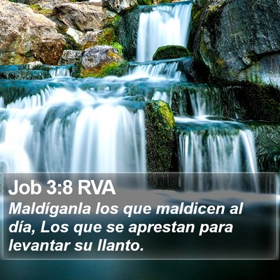 Job 3:8 RVA Bible Verse Image