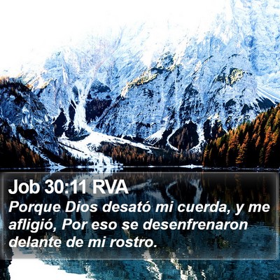 Job 30:11 RVA Bible Verse Image