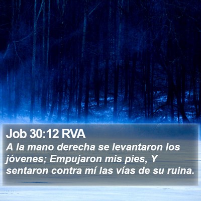 Job 30:12 RVA Bible Verse Image