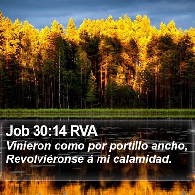 Job 30:14 RVA Bible Verse Image