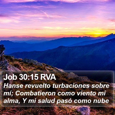 Job 30:15 RVA Bible Verse Image
