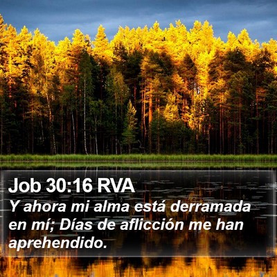 Job 30:16 RVA Bible Verse Image