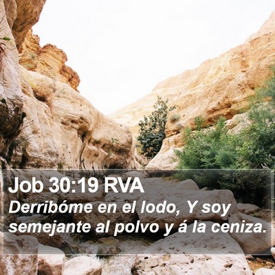 Job 30:19 RVA Bible Verse Image