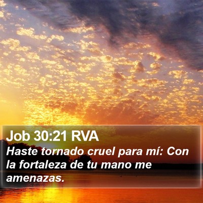 Job 30:21 RVA Bible Verse Image
