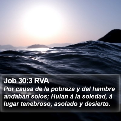 Job 30:3 RVA Bible Verse Image