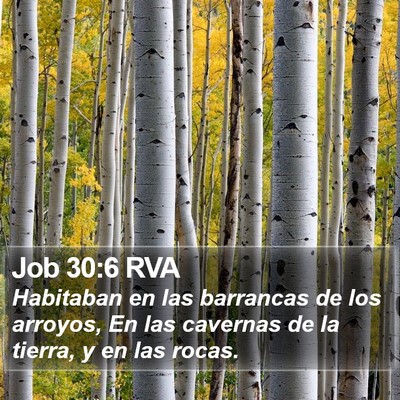Job 30:6 RVA Bible Verse Image