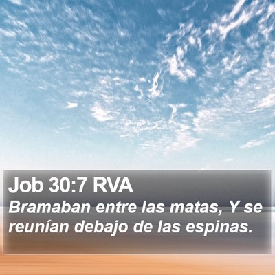 Job 30:7 RVA Bible Verse Image