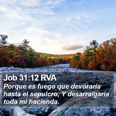 Job 31:12 RVA Bible Verse Image