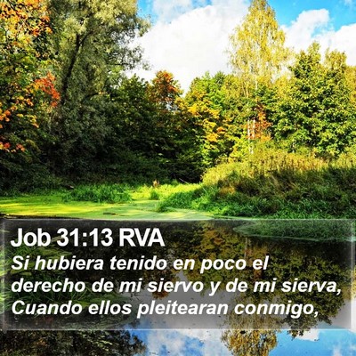 Job 31:13 RVA Bible Verse Image