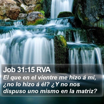 Job 31:15 RVA Bible Verse Image