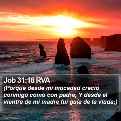 Job 31:18 RVA Bible Verse Image