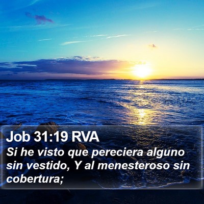 Job 31:19 RVA Bible Verse Image