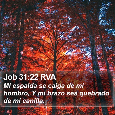 Job 31:22 RVA Bible Verse Image