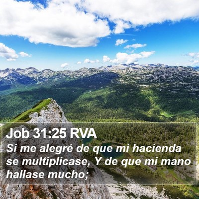 Job 31:25 RVA Bible Verse Image