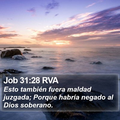 Job 31:28 RVA Bible Verse Image