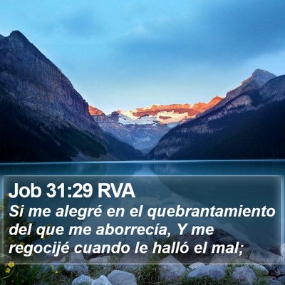 Job 31:29 RVA Bible Verse Image