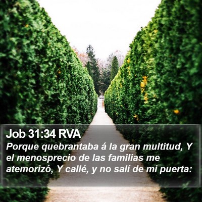 Job 31:34 RVA Bible Verse Image