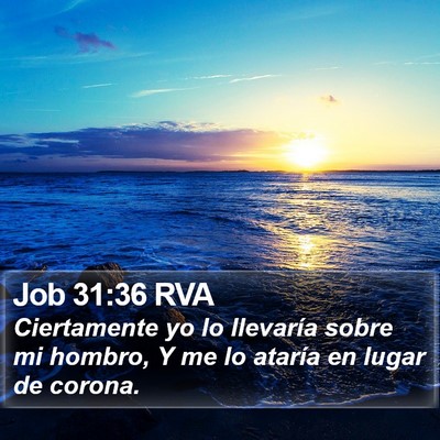 Job 31:36 RVA Bible Verse Image