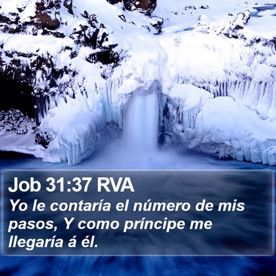 Job 31:37 RVA Bible Verse Image