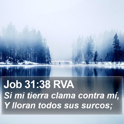 Job 31:38 RVA Bible Verse Image