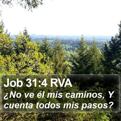 Job 31:4 RVA Bible Verse Image