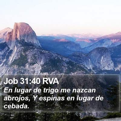 Job 31:40 RVA Bible Verse Image