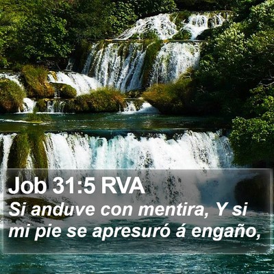 Job 31:5 RVA Bible Verse Image