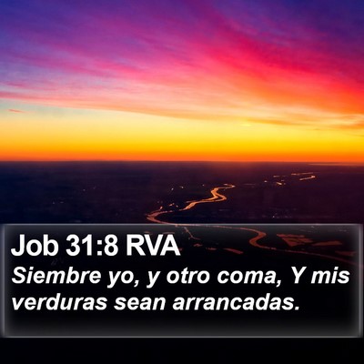 Job 31:8 RVA Bible Verse Image