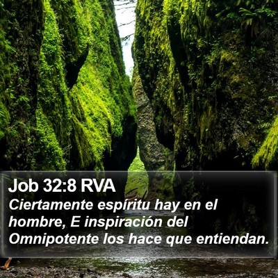 Job 32:8 RVA Bible Verse Image