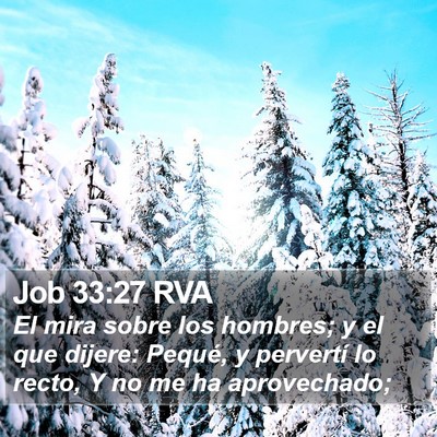Job 33:27 RVA Bible Verse Image